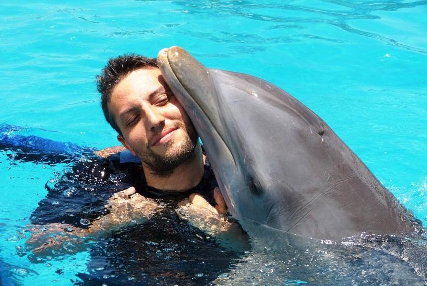 Дельфины - чрезвычайно умные и игривые морские млекопитающие