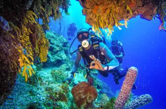 Фото подводного мира Доминиканы