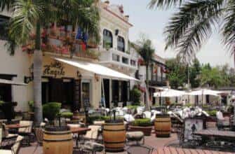 af1qippydhst8h45lccgmxyqxcfrnb7kqfpbchwzxvd2 1200x900 1