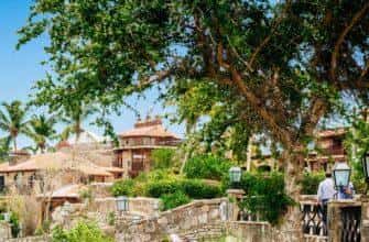 f7c708be fa68 42a4 8f52 a8fac664e820.hw5