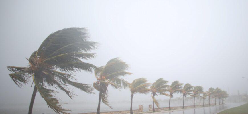 Ураганы в Доминикане